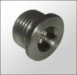 O2 Bung Plug