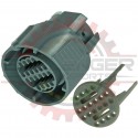 GM Delphi / Packard - Late Model GM Transmission connector assembly  (connector and TPA)