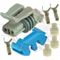 GM Delphi / Packard  - 2 Way Metripack 150 Plug Kit, Gray