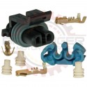 GM Delphi / Packard - 2 Way Metripack 150 Plug Kit, Black