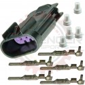 GM Delphi / Packard - 4-Way GT 150 Receptacle kit