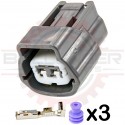 Sumitomo 2 Way Plug Kit for Nissan ECT, CLT, Oil level, & Temperature Sensors (Nissan # E02FGY-RS)