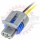 GM Delphi / Packard 2 way IAT / MAT / ACT Sensor Connector Pigtail # 12102620