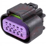 10 Way GT 150 Plug