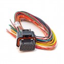 A Loom (short) - 400mm Link ECU # 101-0002