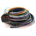 B Loom medium - 2.5m Link ECU # 101-0006